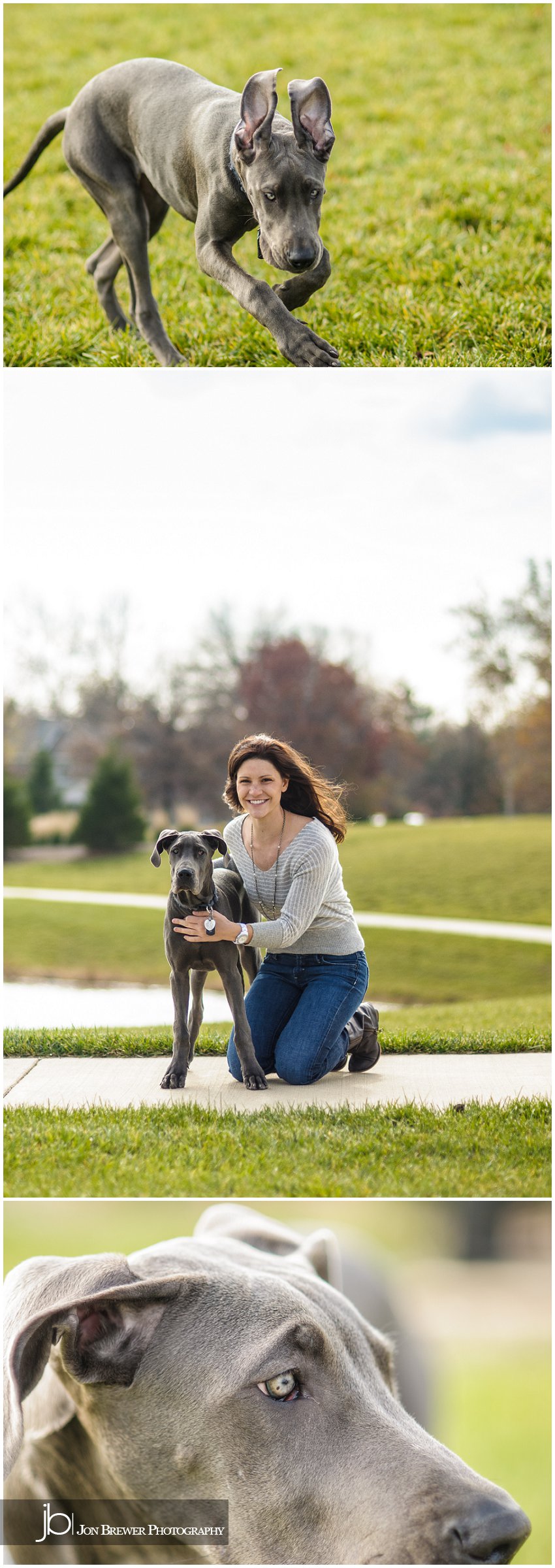 Becky & Luna - A Great Dane Puppy (3)